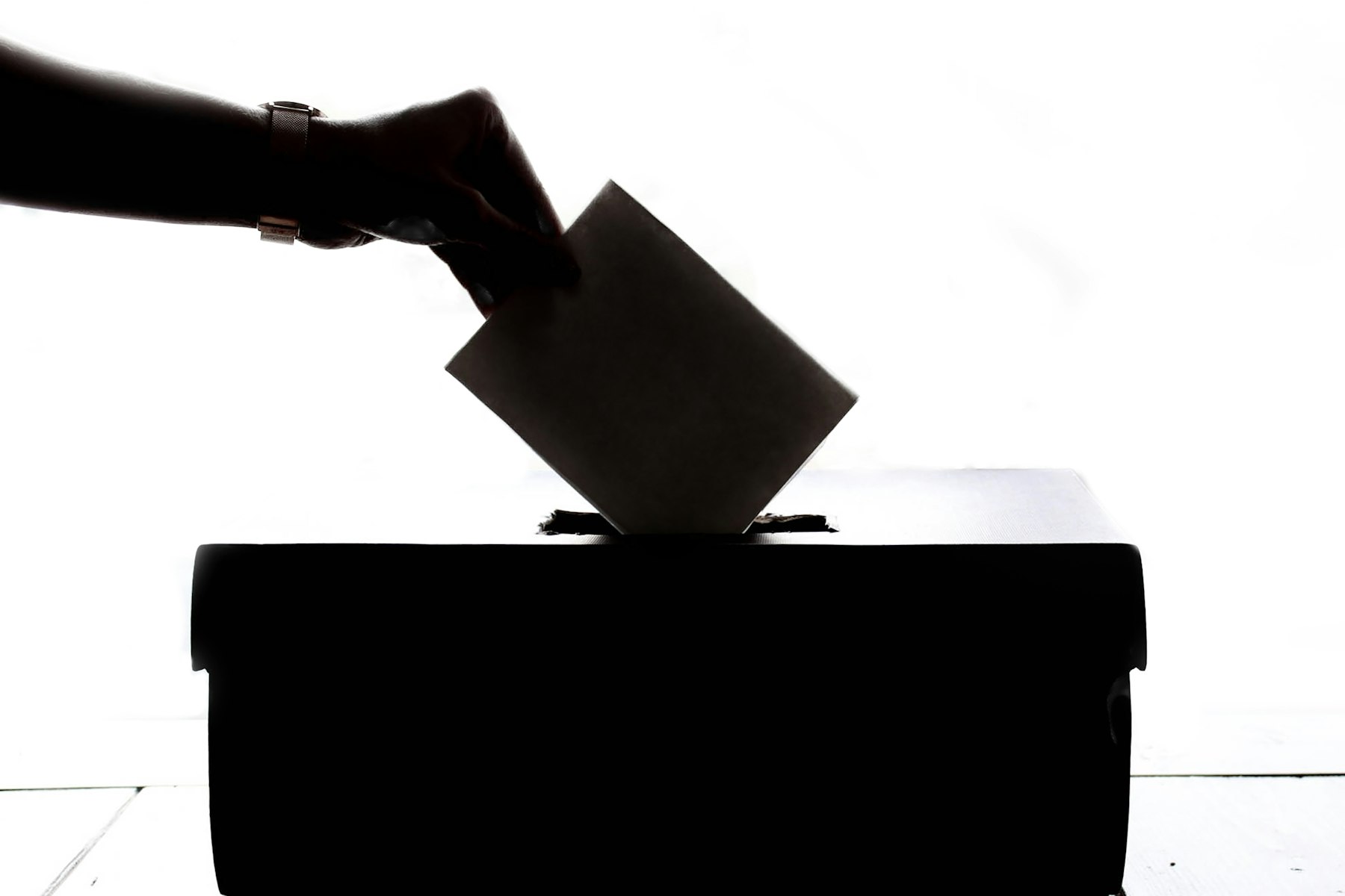 Political Campaigns