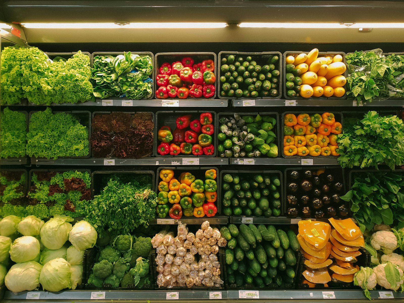 FMCG and Consumer